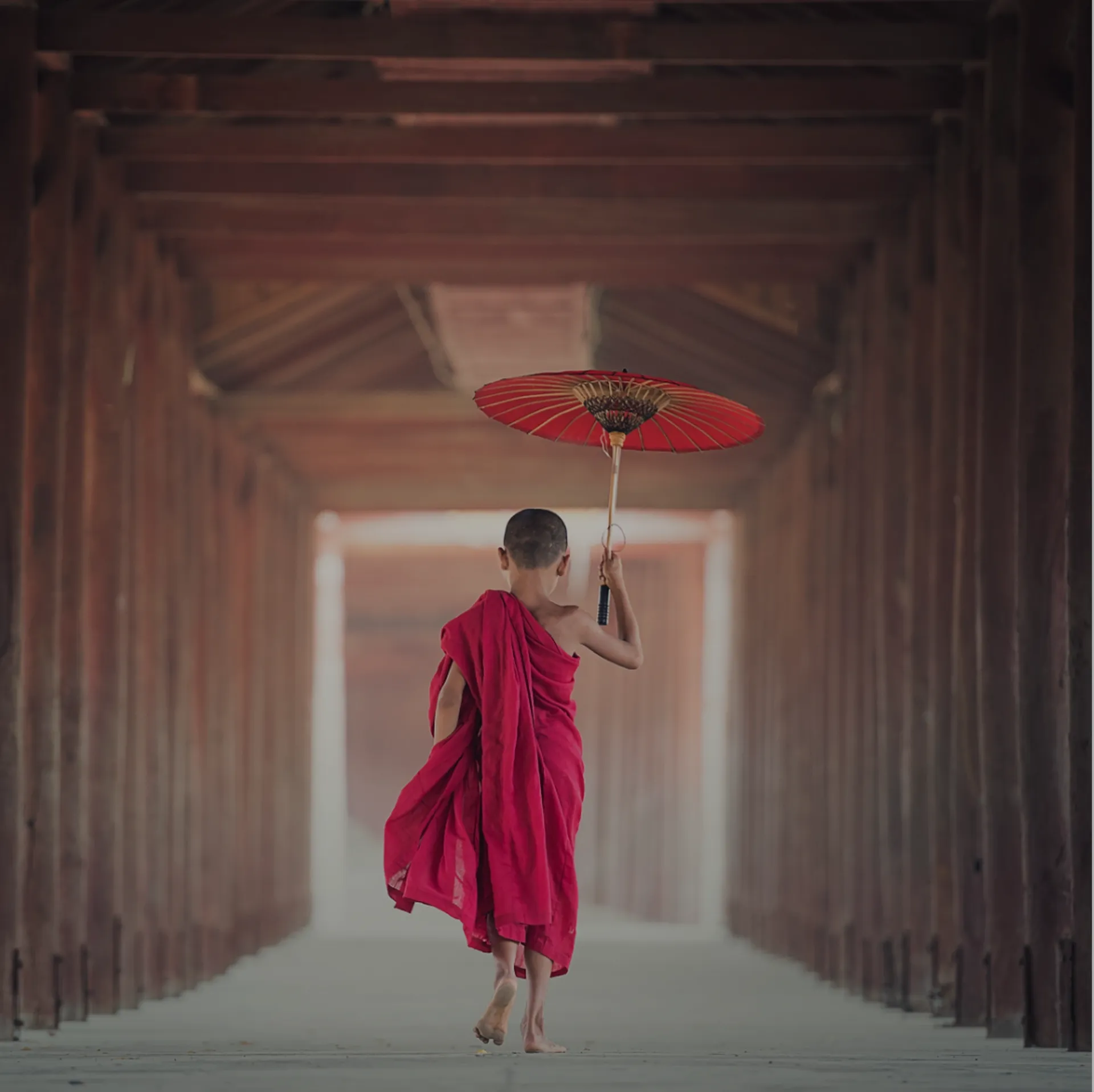 Asia Hover
